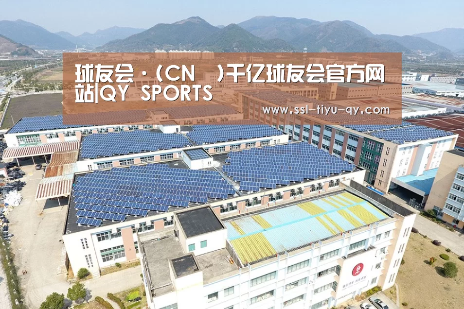 案例展示四