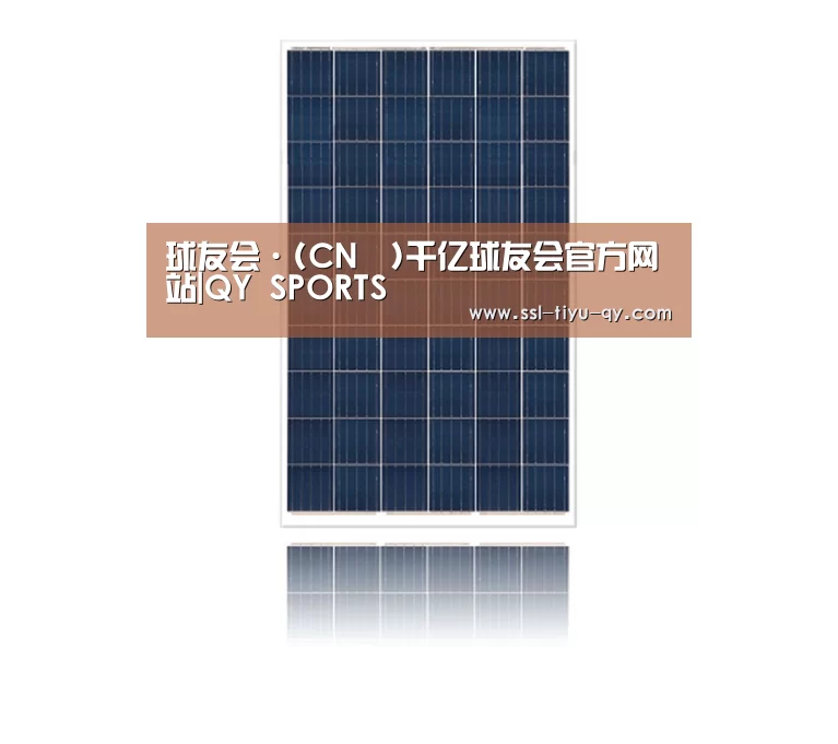 产品名称四