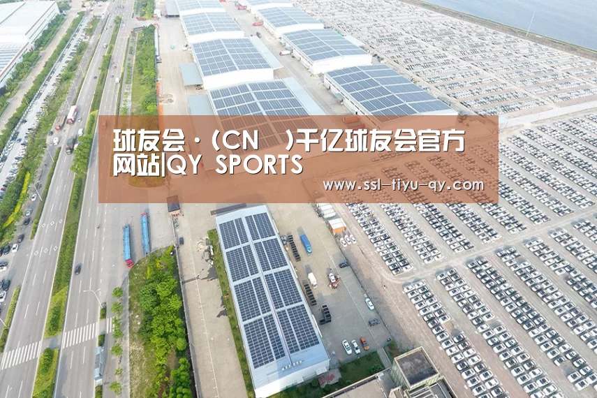 案例展示一